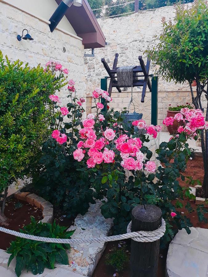 Lofou Traditional House Dış mekan fotoğraf